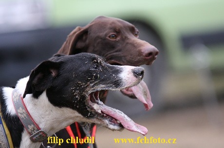 Tri studne podzim 08 - 264.jpg